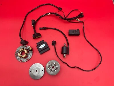 2002 Yamaha YZ250 YZ 250 Procom CDI Stator Flywheel Wire Harness Electrical set - Image 1 of 4