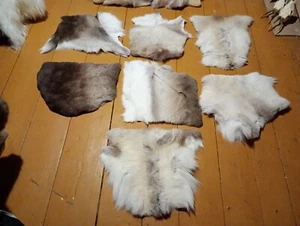 Norwegian Reindeer Skin Hide Fur Pelt Chair Pad Cushion Soft Pillow Taxidermy - Picture 1 of 22