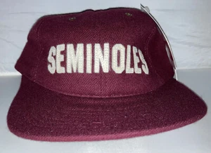 Vtg Florida State Seminoles Strapback hat cap rare Nwt NCAA college Florida - Picture 1 of 2