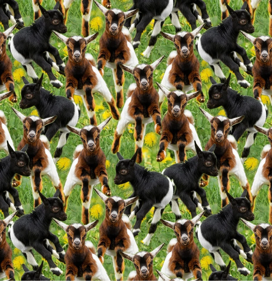 Animal Fabric | Kid Goats Playing Allover Green Grass | David Textiles YARD - Image 1 of 1