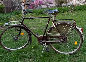 Gazelle - Picture 1 of 5