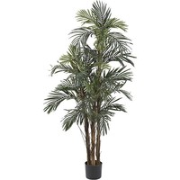 Artificial Plant Kenyan Robellini Palm Silk Tree Black Plastic Container Pot 5ft