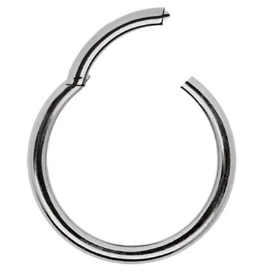 Titan Schmuck Ohr Nasen Septum Piercing Clicker Segment Ring 1,2mm mit Scharnier - Bild 1 von 3