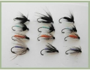 12 stachlose Nassforellenfliegen, 12 stachlose Nassfliegen - Muster, Spinne 10/12/14 - Bild 1 von 5