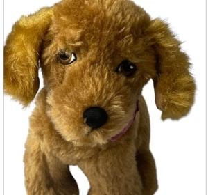 American Girl Puppe Tenney Golden Retriever Hund mit Leine Plüsch Waylon DVM02 - Bild 1 von 7