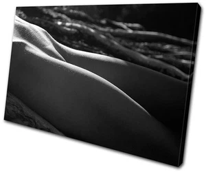 Erotic Artistic NUDES SINGLE CANVAS WALL ART Picture Print VA - Picture 1 of 1