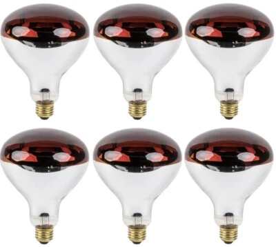 Westinghouse 6 Count 250W R40 Red Infrared Heat Lamp Bulbs - Image 1 of 4