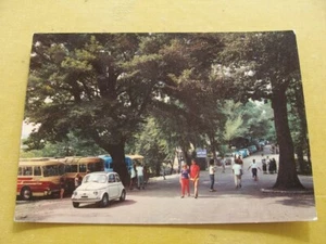 (FG.F32) MONTICCHIO - VIALE ALBERATO animata, auto fiat 500 (vg 1969) Potenza - Imagen 1 de 2