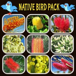NATIVE BIRD/WILDLIFE-SHRUB/TREE SEED PACK-8 x PACKETS-CONSERVATION-FLOWER GARDEN - Picture 1 of 24