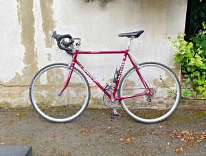 Daccordi Furioso Collector’s Grade - Road Bike – Campagnolo / Columbus – 52cm - Picture 1 of 15