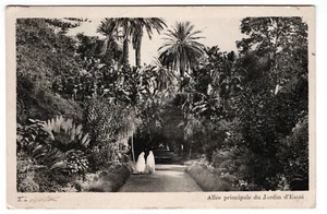 Vintage Wartime 1943 Postcard- Allee Principale du Jardin d'Essai- #272 - Picture 1 of 2