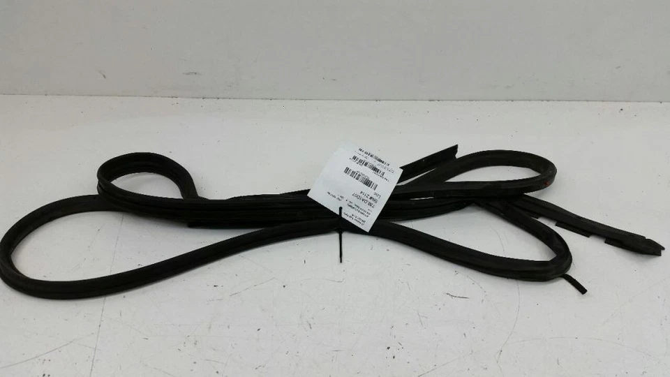 Junta de goma con sello de puerta trasero pasajero derecho Nissan Sentra OEM 2007 2008 Foto 1 de 1