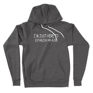 I'm Just Here To Establish An Alibi Hoodies Sweater Sarcasm Inspired Humorous - Picture 1 of 12