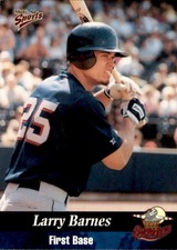 1999 Erie Seawolves Multi-Ad 3 Larry Barnes Bakersfield California Baseball Card