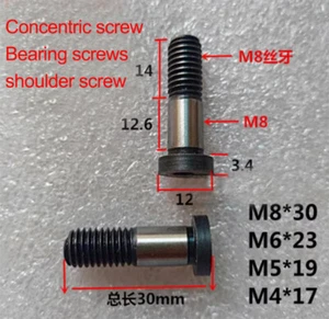 SG15 Lagerschraube M4~12 Steckerantrieb konzentrisch Doppelachse Führungsschiene - Picture 1 of 21