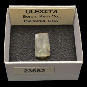 ULEXITA Fibrosa (Boron, Kern Co., California, USA) #23682 / Ulexite - Picture 1 of 1