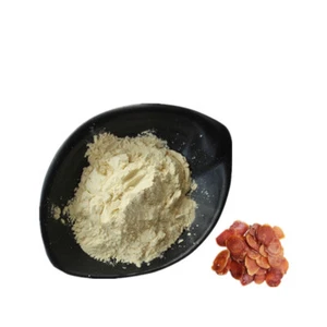 Panax Red Ginseng Root Extract - 80% Ginsenosides Powder extract - Picture 1 of 1