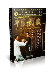 Chinese traditional Wushu Wu Style TaiChi Taijiquan Pushing Hand Sun Jianguo DVD - Imagen 1 de 1