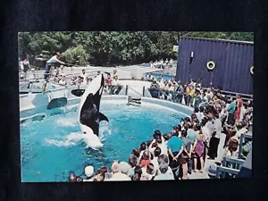 CANADA British Columbia Vancourver Public Aquarium Stanley Park Whale postcard - Bild 1 von 2