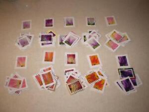 100 Assorted Tulip Blossoms Forever Stamps Used On Paper