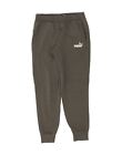 PUMA Mens Graphic Tracksuit Trousers Joggers Small Grey BE06