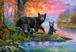 Castorland Fishing Spot Puzzle 1000 Teile - Bild 1 von 1