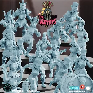 "The Warriors" Amazon Fantasy Team Compatible Bloodbowl - Picture 1 of 1