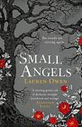Small Angels: 'A Twisting Gothic Tale Of Darkness, Intrigue, Heartbreak And Reve
