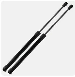 Molle a gas portellone Pistoncini Cofano Baule Post Smart 451 dal 2007 - Foto 1 di 2