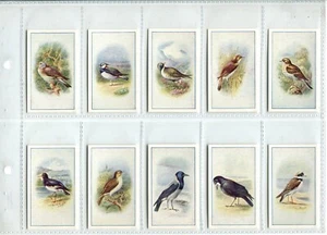 Birds 1939 Carroll Cigarette Cards - Full Set of 25 Cards - Picture 1 of 6
