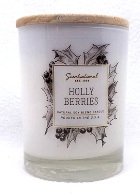 1x 11 oz Scentsational HOLLY BERRIES 1-Mecha Vela Mediana Mezcla Natural de Soja Foto 1 de 2