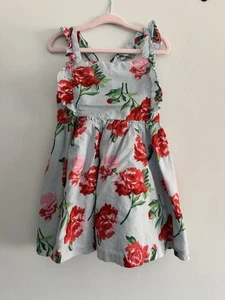 Janie and Jack Toddler Girl Dress Blue Red Flowers Button Back - Picture 1 of 8