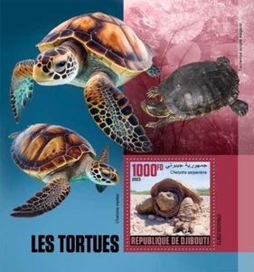 Turtles MNH Stamps 2023 Djibouti S/S - Picture 1 of 1