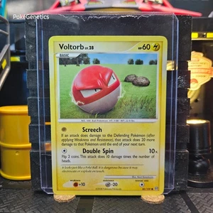 Voltorb Stormfront Pokémon TCG 80/100 Diamant & Perle Common - Bild 1 von 6