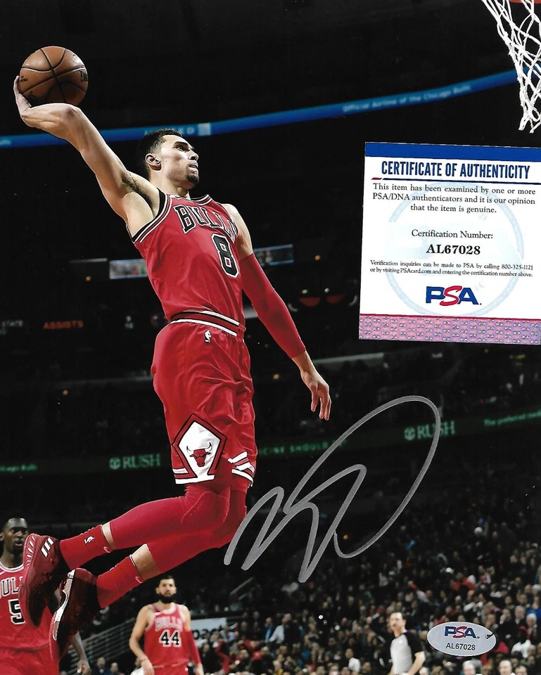 ZACH LAVINE signed autographed CHICAGO BULLS 8X10 photo w COA PSA AL67028 - Image 1 of 1