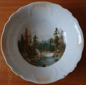 Vintage VICTORIA AUSTRIA LARGE PORCELAIN BOWL 26CM - Picture 1 of 5