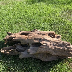 Xtra Large Driftwood Beautiful Aquarium Decor 38x18x10 Real Wood Holes Terrarium - Picture 1 of 23