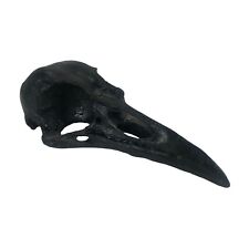 Black Raven Skull Figurine Crow Replica Bird Edgar Allan Poe Goth Punk Oddities