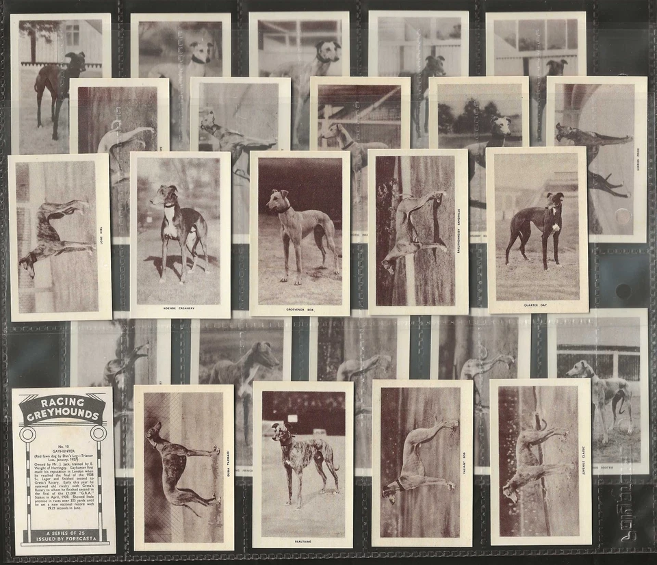 MORRIS-FULL SET- RACING GREYHOUNDS (25 CARDS) EXCELLENT - Image 1 of 1