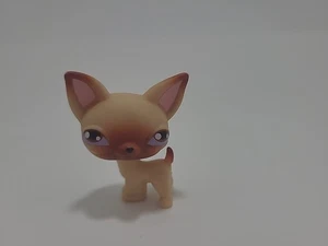 LPS Littlest Pet Shop 2004 Authentic Red Magnet Pet #1 Chihuahua Dog - Picture 1 of 6