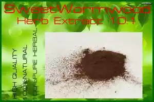 1 Kg High Quality!! Sweet Wormwood Herb Extract Powder 10:1 (2.2 Lbs) - Picture 1 of 1