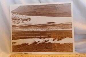 1969 Utah Wildlife Nature 8X10 Thiokol Corp Wasatch Division Media Photo - Picture 1 of 2