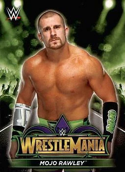 2018 WWE Road to Wrestlemania Insert Set  Pick a Card AEW TNA NXT ROH Savage - Image 1 of 1