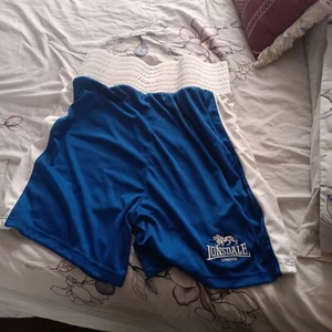 New Ringside Boxing In-Stock PST Boxing Training Competition Fight Trunks Shorts - Picture 1 of 2