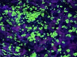 Fluorescent Willemite Calcite Franklinite Mineral Sterling Mine, New Jersey (1) - Picture 1 of 14