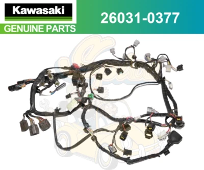 Kawasaki ZX6R 2005 2006 arnés principal motor cableado enchufes stock completo Foto 1 de 3