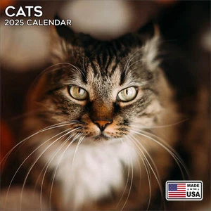 Calendario Gatos 2025 - Lindo Calendario de Pared Animal - ¡Hecho en EE. UU.! - Imagen 1 de 8