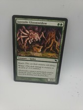 Juvenile Gloomwidow x1 - Shadowmoor - MTG - Near Mint