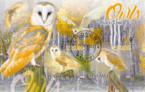 Malawi 2022 Sheet  Barn Owl wildlife bird 2 values (TS0173) Cover
