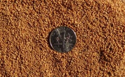 Cartuchos de latão limpos 15 oz finos 24 grãos casca de nogueira jateamento/tombamento mídia - Imagem 1 de 4